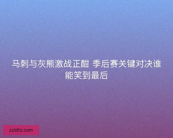 马刺与灰熊激战正酣 季后赛关键对决谁能笑到最后
